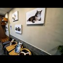 동아동물병원 | 우리 댕댕이 건강 비상! 신곡동동물병원 찾기 대장정