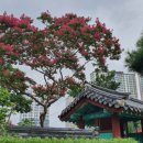 향교, 성모당 - 이미지