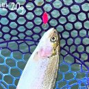 취병낚시터 이미지