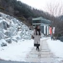 뮤지엄스테이 이미지