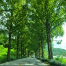 옥천골한정식 이미지