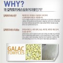 휴엘 일루미네이트 매직 미스트 후기, 갈락토미세스 효과,