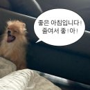 토익 인강족 주목! 단기 점수 상승 비법 전격 공개🔥인투어학원 후기