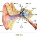 귀에서 삐소리 이명 원인 및 이미지