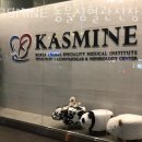 성남 구미동 동물병원 KASMINE 동물심혈관신장센터 진료시간 접근성 이용후기