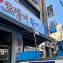 찐찐산오징어 이미지