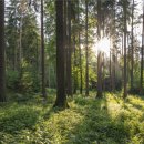 진우축산 이미지