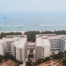 리센오션파크호텔 이미지