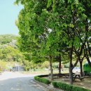 청룡농장 이미지