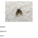 민족통일고시텔 네이버블로그