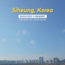 시흥월곶에코피아 사계절썰매장