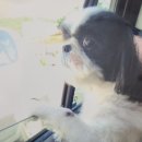 샤인홀릭세차장 이미지