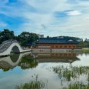 벽진 마을회관 | 전주 덕진공원 연꽃명소 주차장 연꽃피는시기 관광지 산책로 전주 여행코스 추천