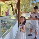 비치아트크린 | 12박14일 발리 여행 7탄(+길리트리왕안(길리T))