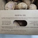 ［해남햇고구마］해드리오 꿀고구마 - 야채전, 고구마전 조리 후기