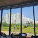 학천변길 | 세종시 4년차 거주 후기