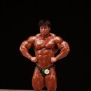 전칠성의 히어로짐 네이버블로그