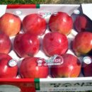 조영환농장 이미지