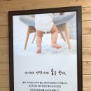 전주지역자활센터보드레기저귀 이미지