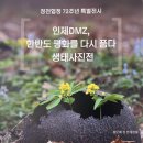 인제도서 이미지