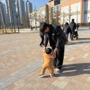 명지아동병원 | [육아기록] 3차 영유아검진, 명지아동병원 영유아검진 후기, 예약방법, 미숙아로 태어난 아기 12개월...