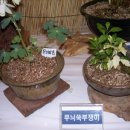 동의중학교 이미지