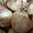 농민건강원 이미지