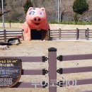 펫힐링달빛동물원