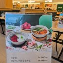 최상급 소고기와 다양한 육수, 샤브 야채, 월남쌈 야채 그리고 죽과 칼국수까지 풀코스로! 샤브올데이...