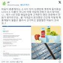 피크닉 이미지