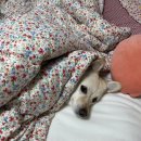 더엠럭셔리노래연습장 이미지