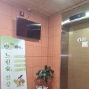 지리산물좋은펜션 | 가성비 좋은 지리산펜션, 지리산나무처럼 숙박 후기