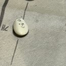 동물카라반펜션 이미지