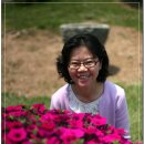 한산보건지소 Daum카페