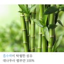 한미타올 이미지