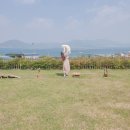 해뜨는 봄날