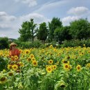 가야4리 이미지