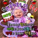 수레바퀴 이미지