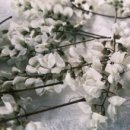 조선소한복 이미지