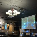 트랩 | 💙 시흥술집데이트코스, 정왕동 <트랩> 후기