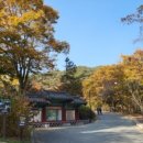 귀빈애견 이미지