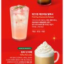 유천네거리 국민은행 앞 | 스타벅스 크리스마스 신메뉴 코코말차 후기