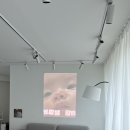 케이크하우스&림 이미지