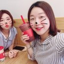 고양이부엌 이미지