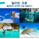 더리오호텔(THE RIO HOTEL) | 팔라완 코론 여행의 모든것 다이빙부터 숙소 듀공 투어까지!