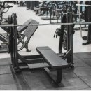 데일리 핏 이미지