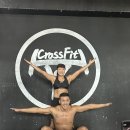 통영 크로스핏 레슬링 이미지