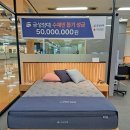 금성침대 매장 방문 후기