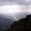 목화화원 이미지