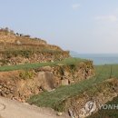 푸르다남해펜션